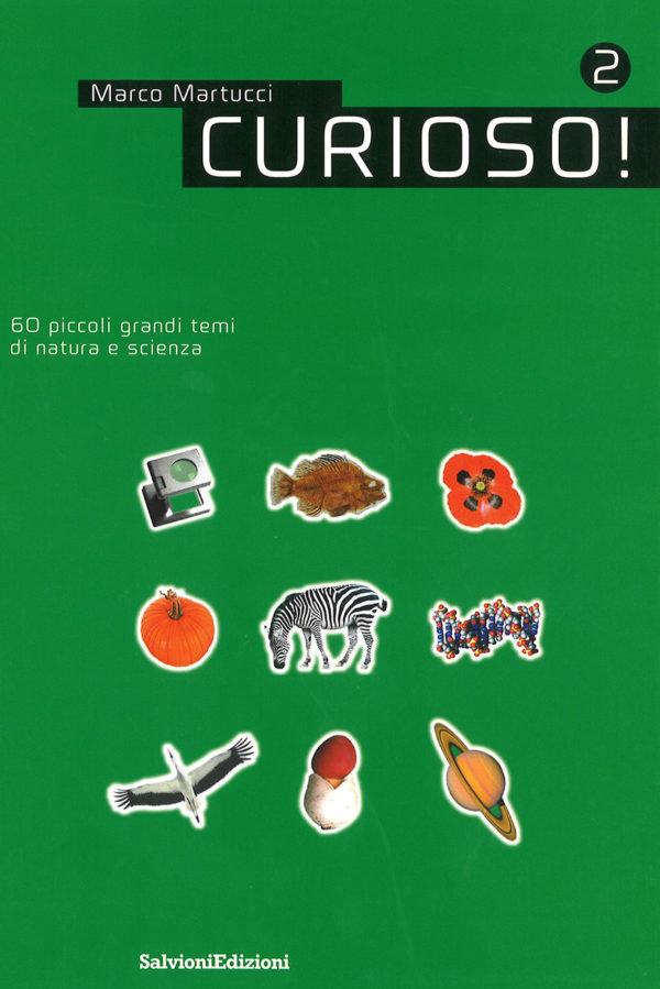 Curioso! 2