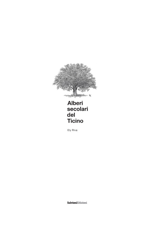 Alberi secolari del Ticino
