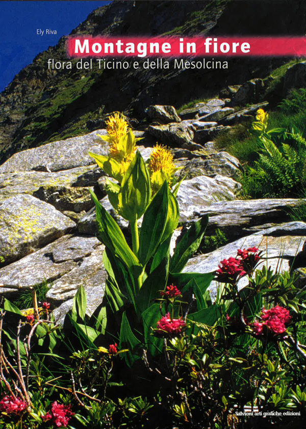 Montagne in fiore, flora del Ticino e della Mesolcina