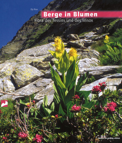 Berge in Blumen