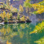 Laghetti del Ticino