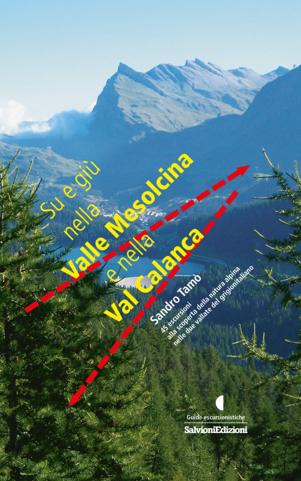 Su e giù nella Valle Mesolcina e nella Val Calanca