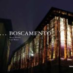In...boscamento