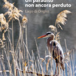 Un paradiso non ancora perduto - Lago di Origlio