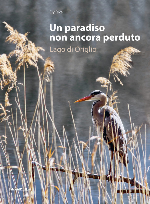 Un paradiso non ancora perduto - Lago di Origlio