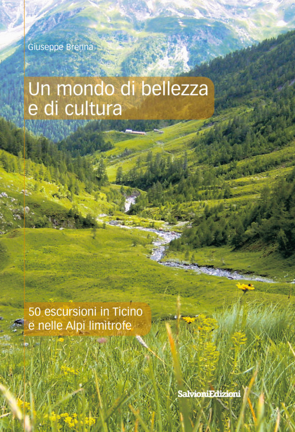 Un mondo di bellezza e di cultura