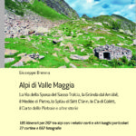 Alpi di Valle Maggia
