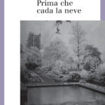 Prima che cada la neve