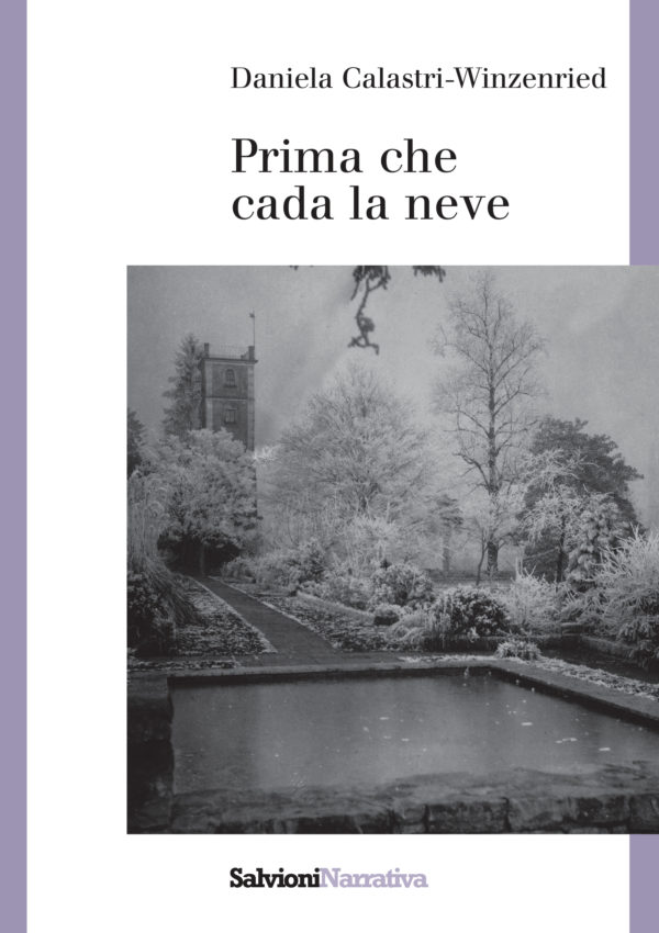 Prima che cada la neve