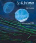 Art & Science - Visions on cellular morphogenesis