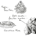 Foglie, foglie morte.... - Feuilles, feuilles mortes ....