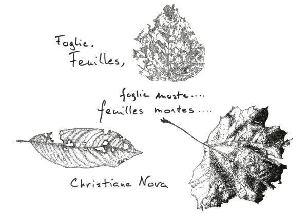 Foglie, foglie morte.... - Feuilles, feuilles mortes ....