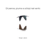 Di penne, piume e schizzi nel vento