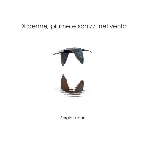 Di penne, piume e schizzi nel vento
