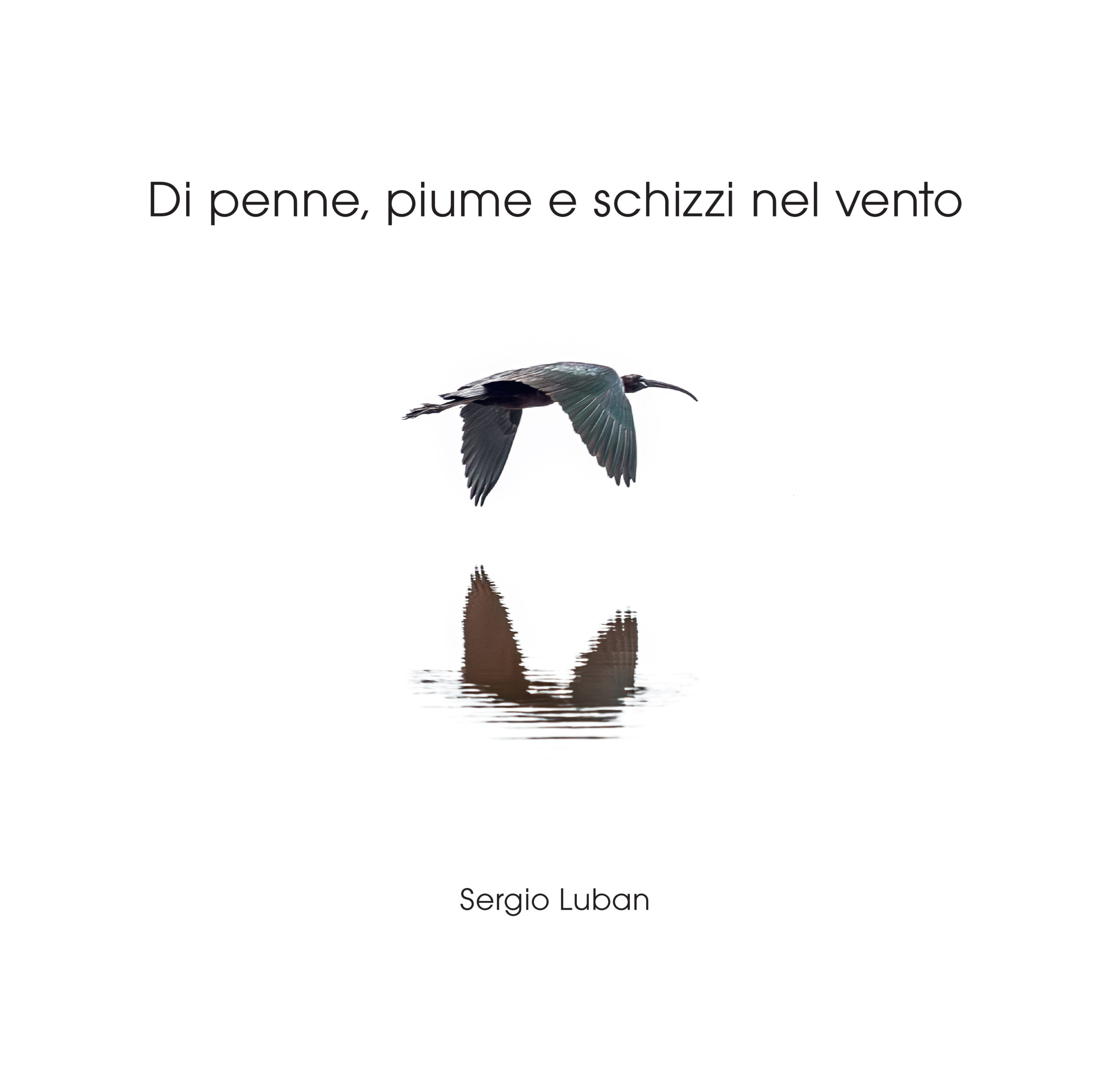 Cop. WEB per sito internet